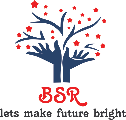 The BSR Group